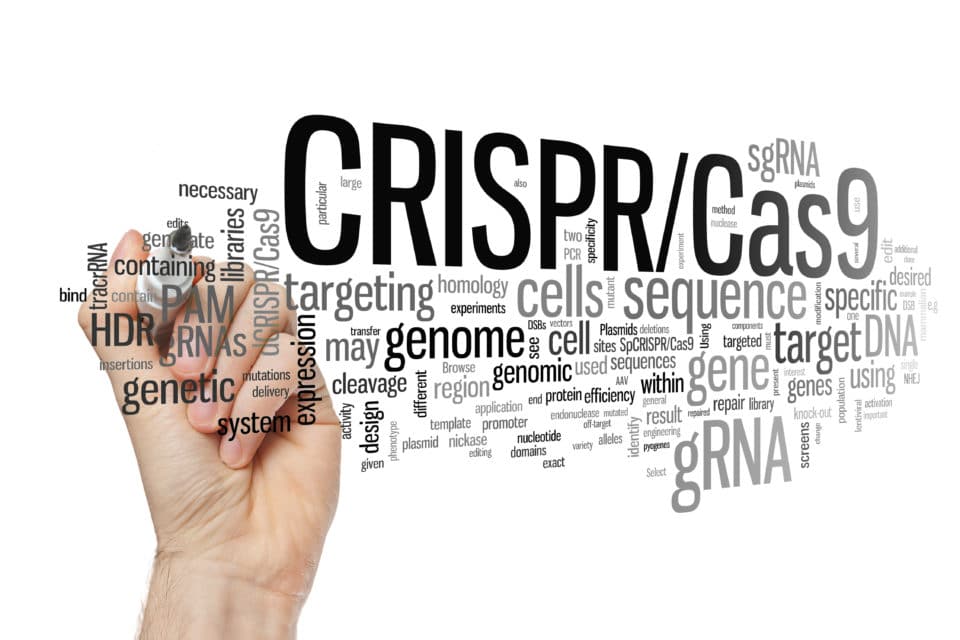 CRISPR/Cas9