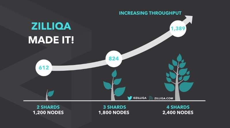 zilliqa ico increase throughput