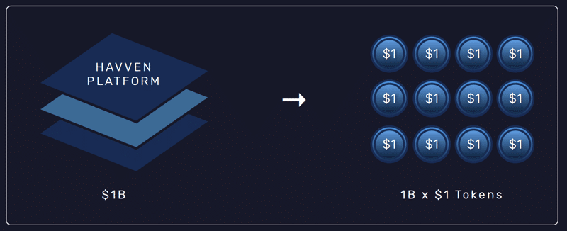 havven platform 1dollar