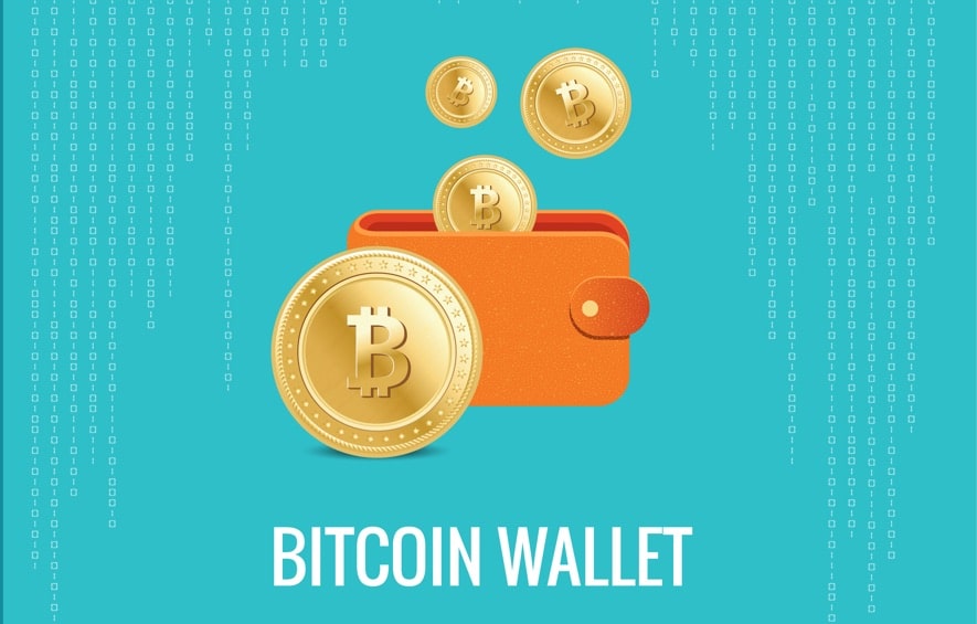 bitcoin wallet back up