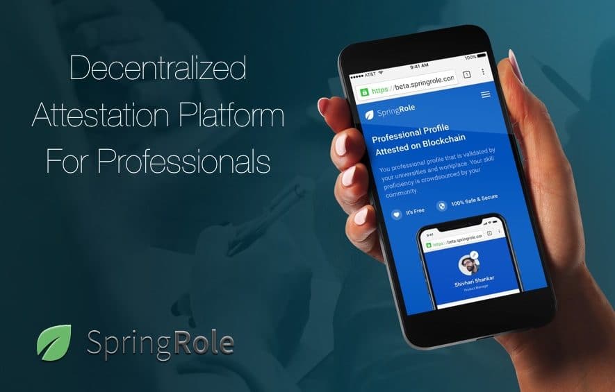 springrole professional platform blockchain