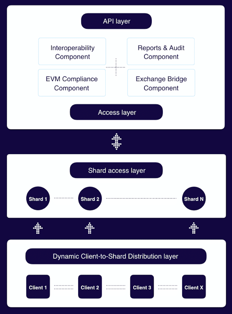 elrond blockchain platform tech